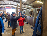 DS110422-129 - Dan Skelton Stable Visit